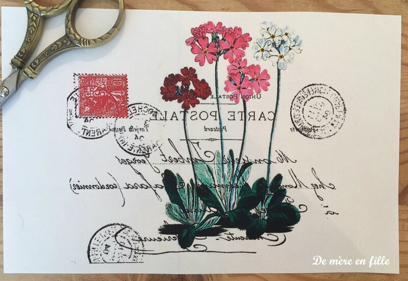carte postale fleurs 1
