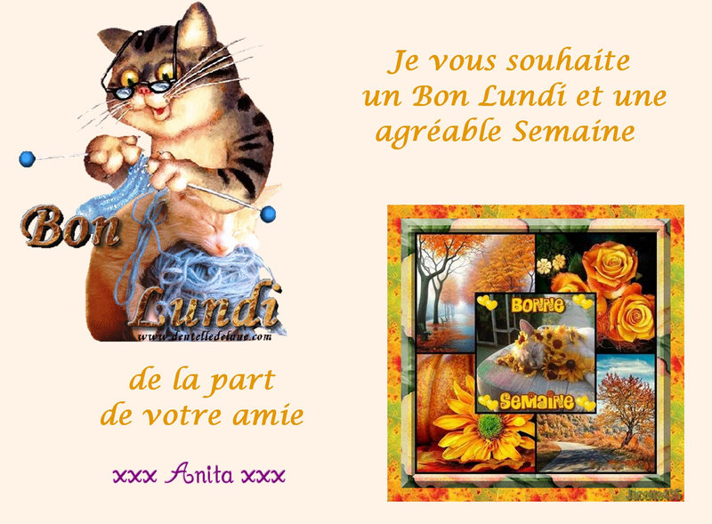 Lundi 8 Nov