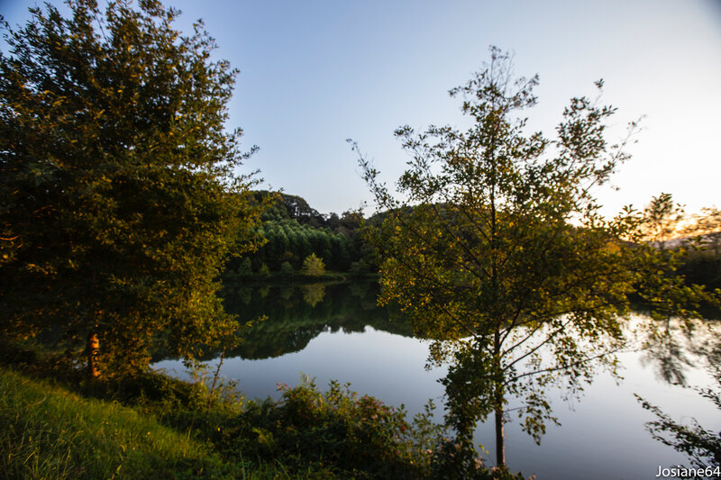 11102019-_MG_5790