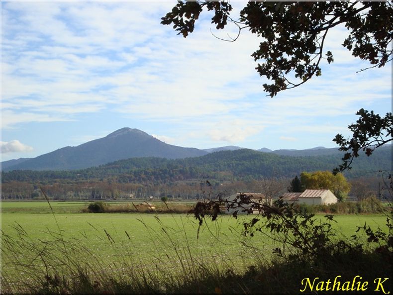 _c_LNK_le_12_novembre_2010_053_copie