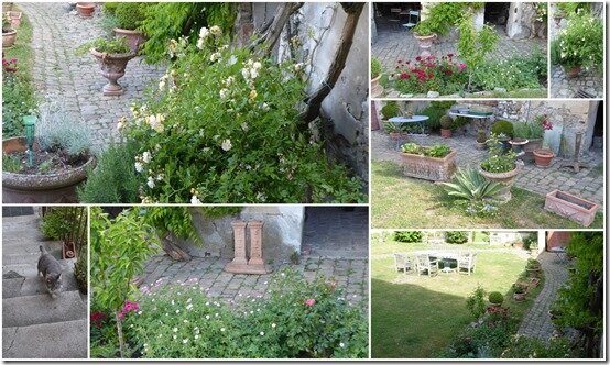 jardin 24 mai 2020