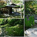 Japanese Garden Seattle 5