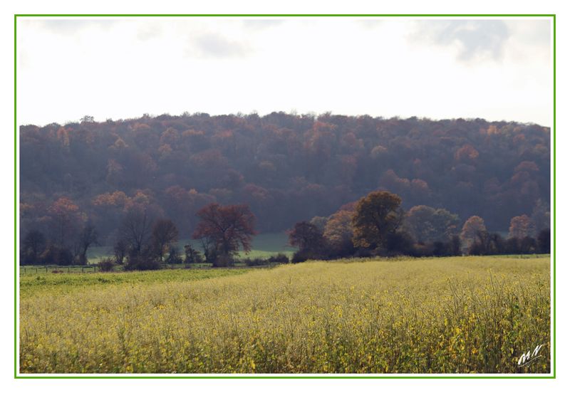 Automne_2010_11_01_1362c_GF