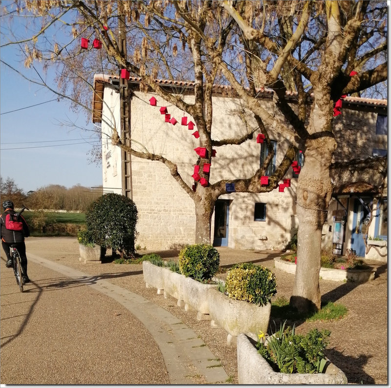 Roussille matin 270222 19 ym nichoirs