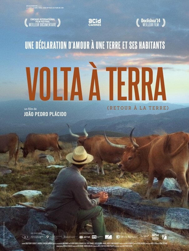 volta a terra