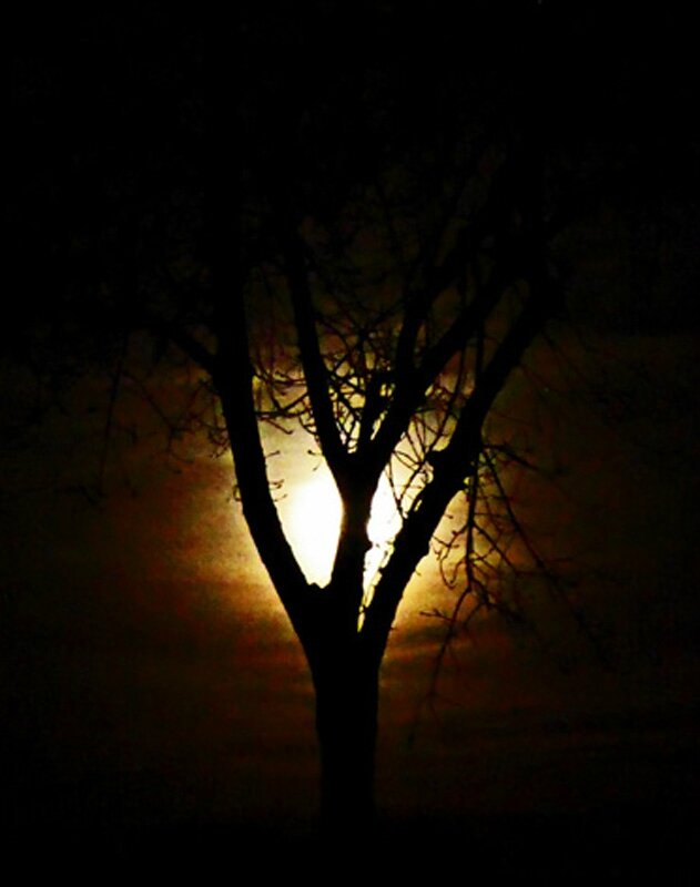 Pleine Lune Le 5 Mars 2015