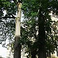 IMGP9726