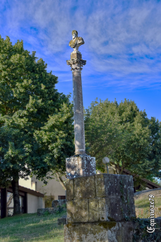 colonne Henri IV Château de Clisson