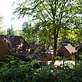 IMGP8184