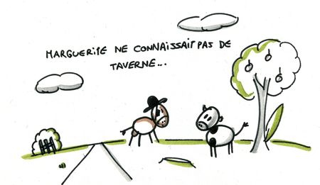 cooktav