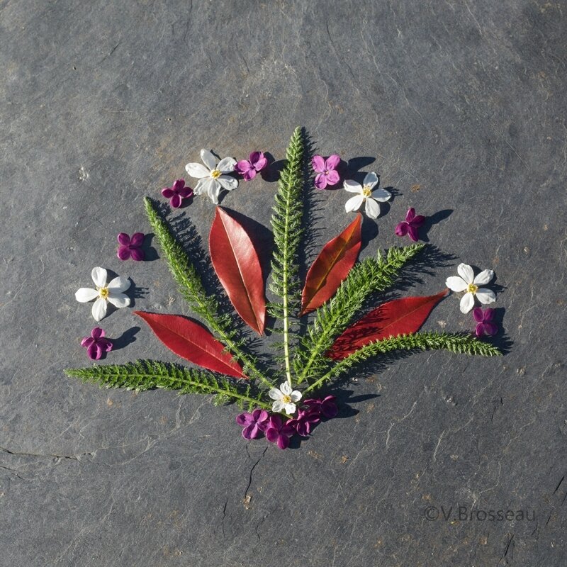 mandala-fleur-feuille17-04