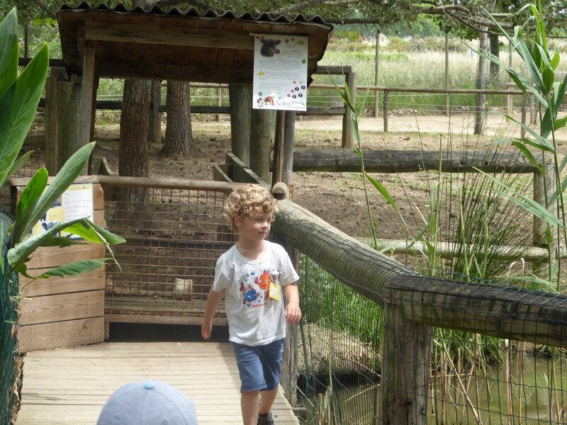 P1000399