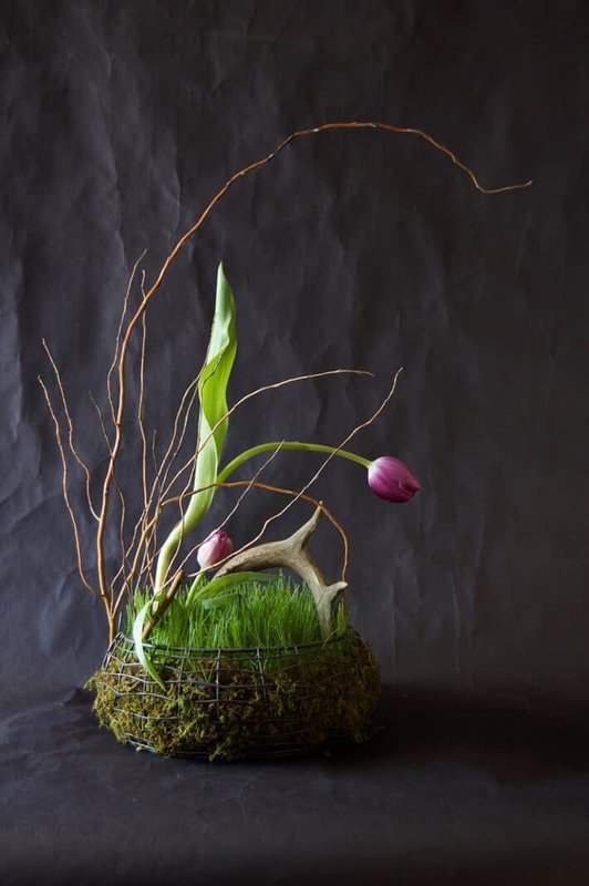 Easter_arrangement_tulip
