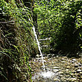 P1120759 (2)