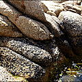 POLLUTIONS_DES_RIVAGES_SUD_DE_CORSE