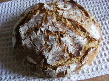 white_levain__rye_flour