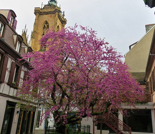 IMG_2803 (2)