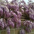 WP_20160506_006