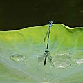 DSCN1173