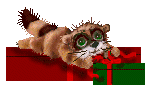noel_011