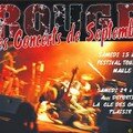 Concert (3)