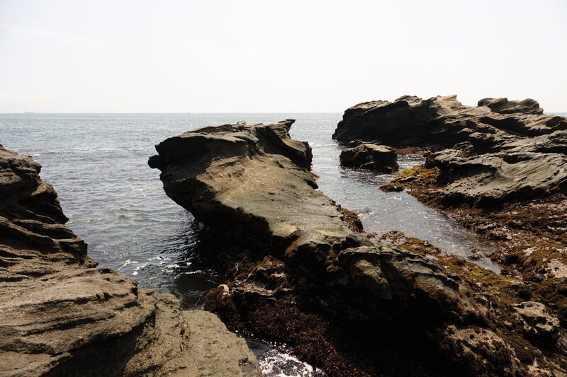 DSC01153