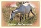 chevaux
