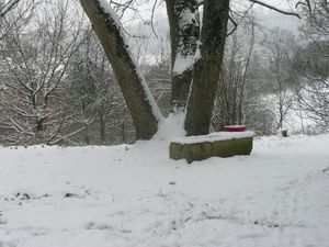 P1200382