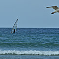 IMG_8884