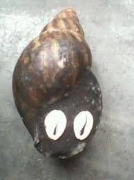 Résultat de recherche d'images pour "rituel avec escargot"
