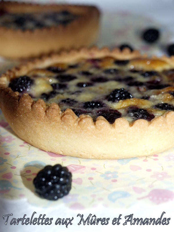 Assiettes Avec Céréales Pour Petit-déjeuner Et Tarte Aux Mûres Sur