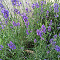20200620_122227