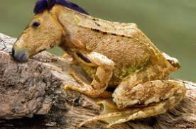 images-8