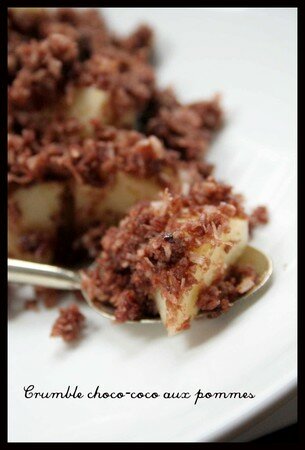 crumble_choco_coco
