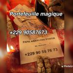 AMANVEBA VRAI PORTEFEUILLE MAGIQUE