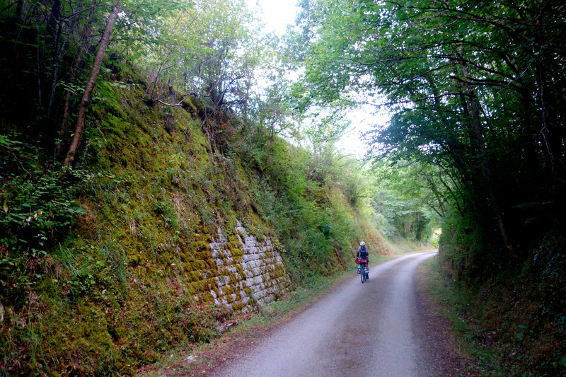 DSC06038