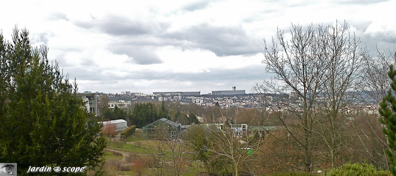 Nancy