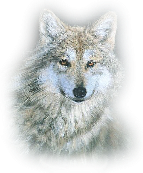 Coeur de Loup