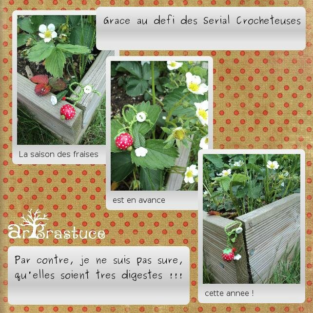 2015-05 fraise