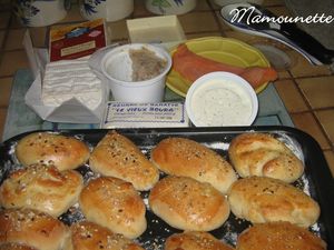 Navettes_pour_un_ap_ro_sympa_020