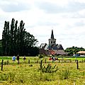 _IGP7415