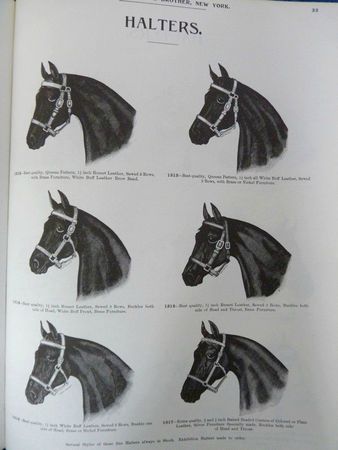 P1030491