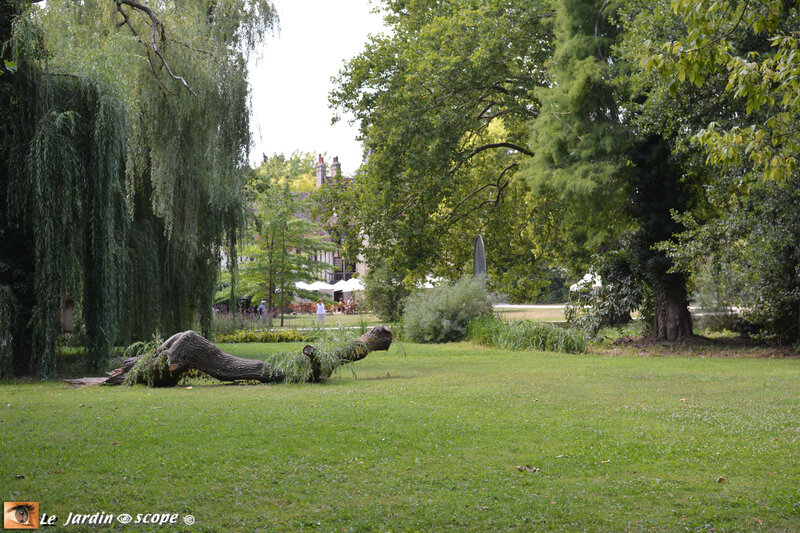 DSC_7078-Clos-Lucé