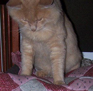 20060925_012
