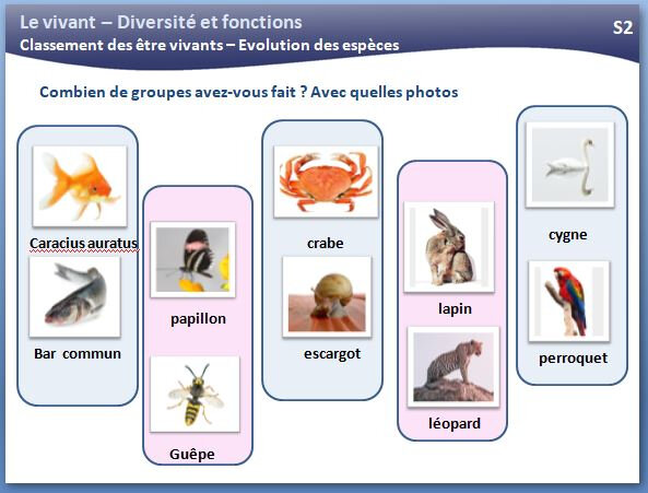 Journal Dune Pe Ordinaire Page 3 Journal Dune Pe Ordinaire