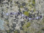 IMG_0574