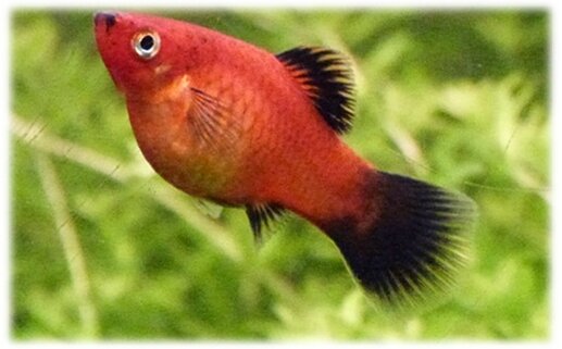 aquachange (2)