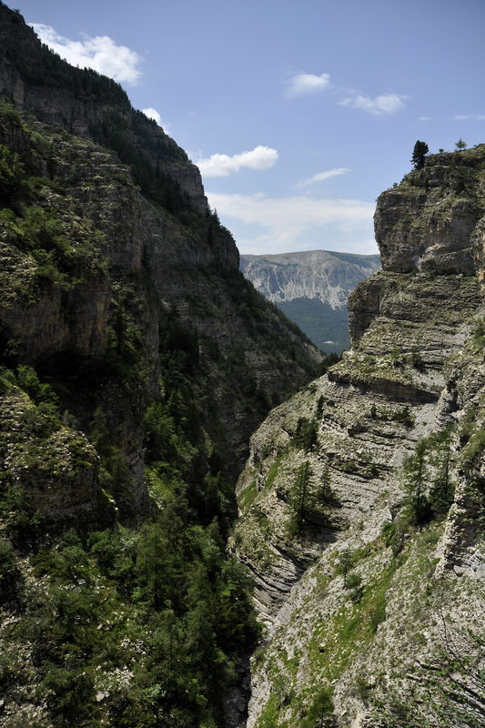 _DSC0247_Alpes___Gorges_de_Saint_Pierre_2