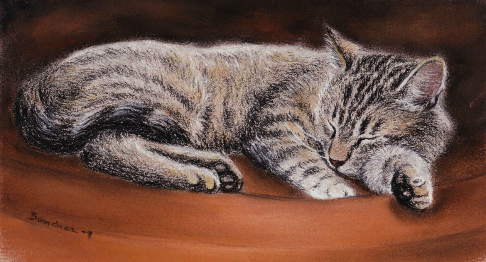 Chat Endormi Pastel Xavier Sanchez Photo De Chats x30cm Sanchezpastels Pastelliste Animalier