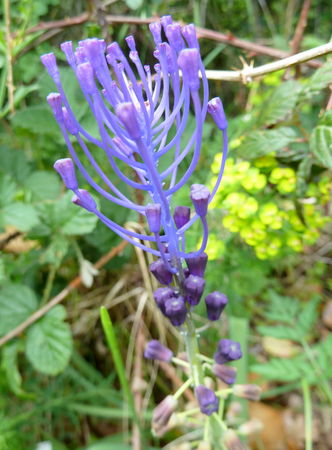 P1010756